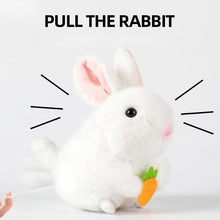 Afbeelding in Gallery-weergave laden, {Unforgettable gift, you can find it here.} - Premium {Quality toys} from {Jminorca shop} - Just €{From 9,99}! Shop now at {Jminorcashop}
